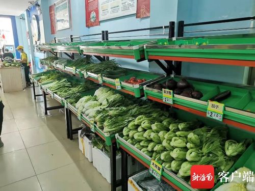 3000噸儲(chǔ)量確保國慶期間海口蔬菜 貨足價(jià)穩(wěn)