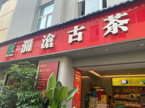 為我們普洱茶一線從業(yè)者點(diǎn)贊——董勝會(huì)長(zhǎng)赴大商匯國(guó)際茶城調(diào)研紀(jì)實(shí)